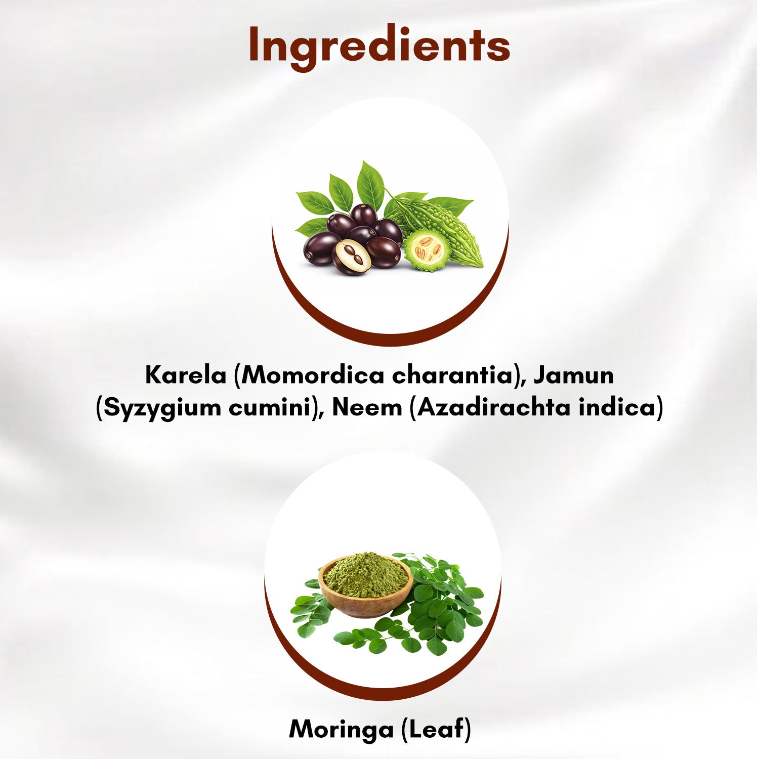 Karela Jamun & Moringa Powder Combo