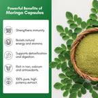 Moringa Capsule