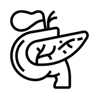 Supports Pancreas Function