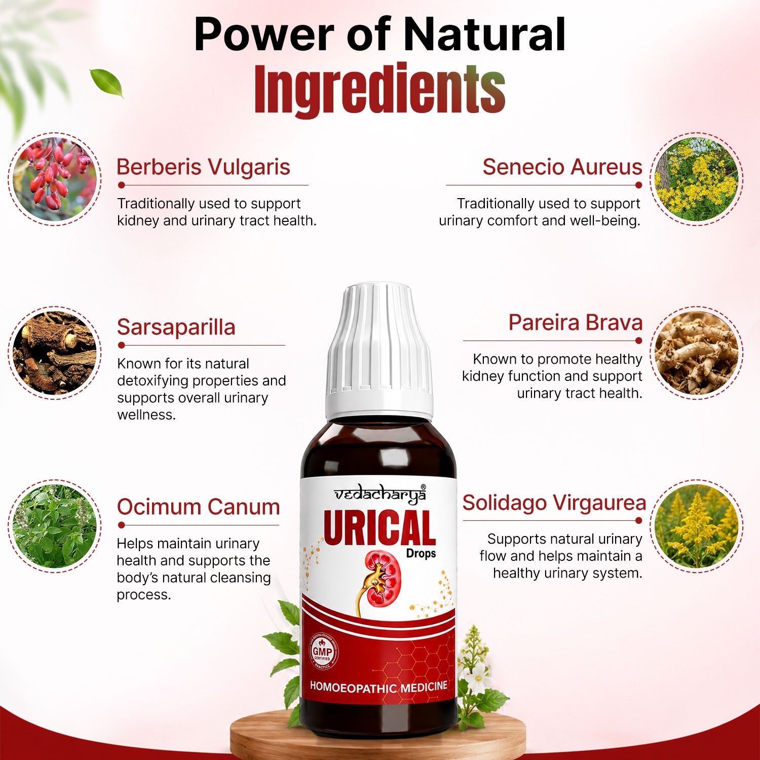Vedacharya Urical Drops