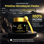 Pure Shilajit Resin