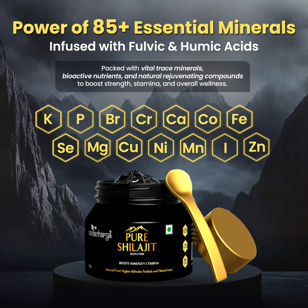 Pure Shilajit Resin