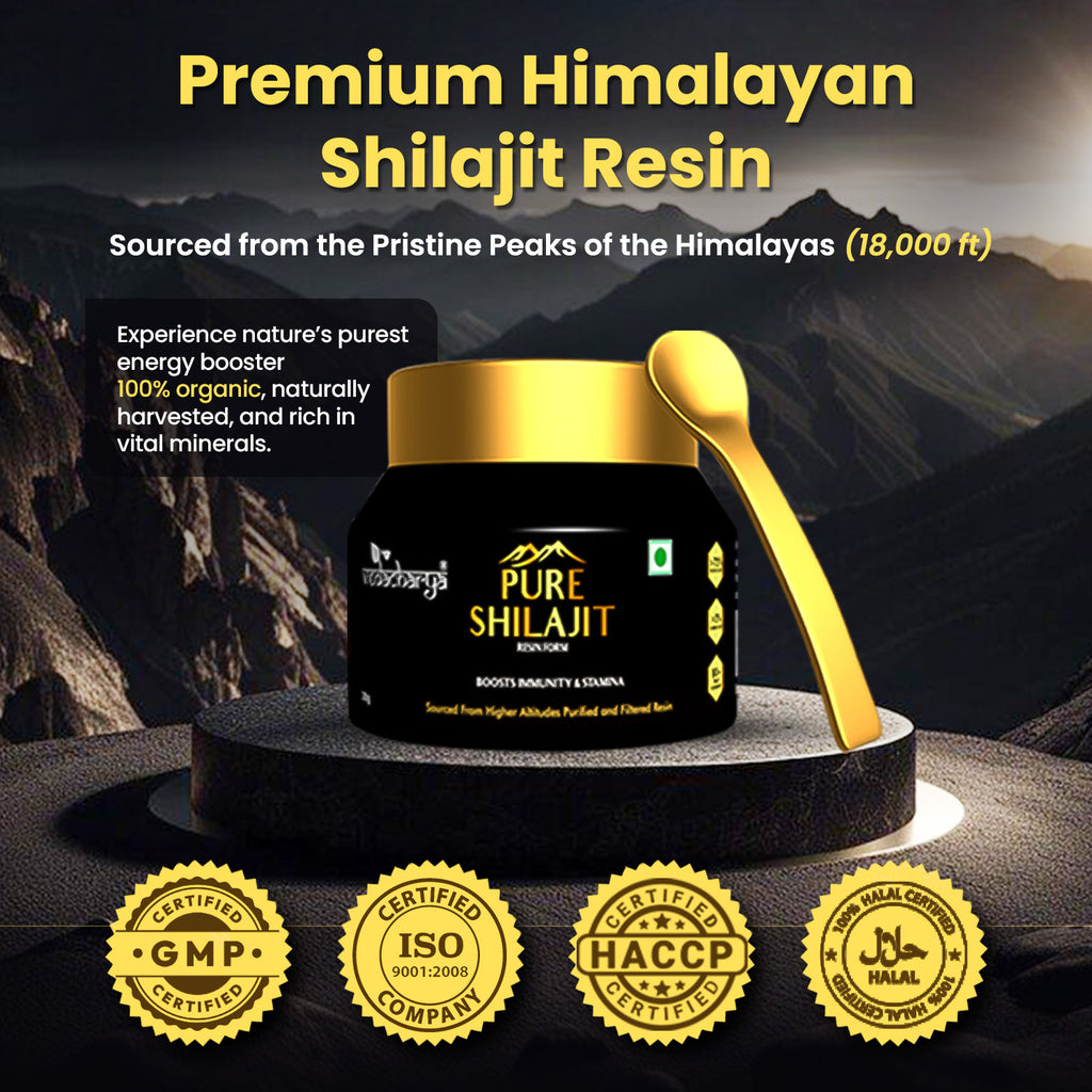 Pure Shilajit Resin