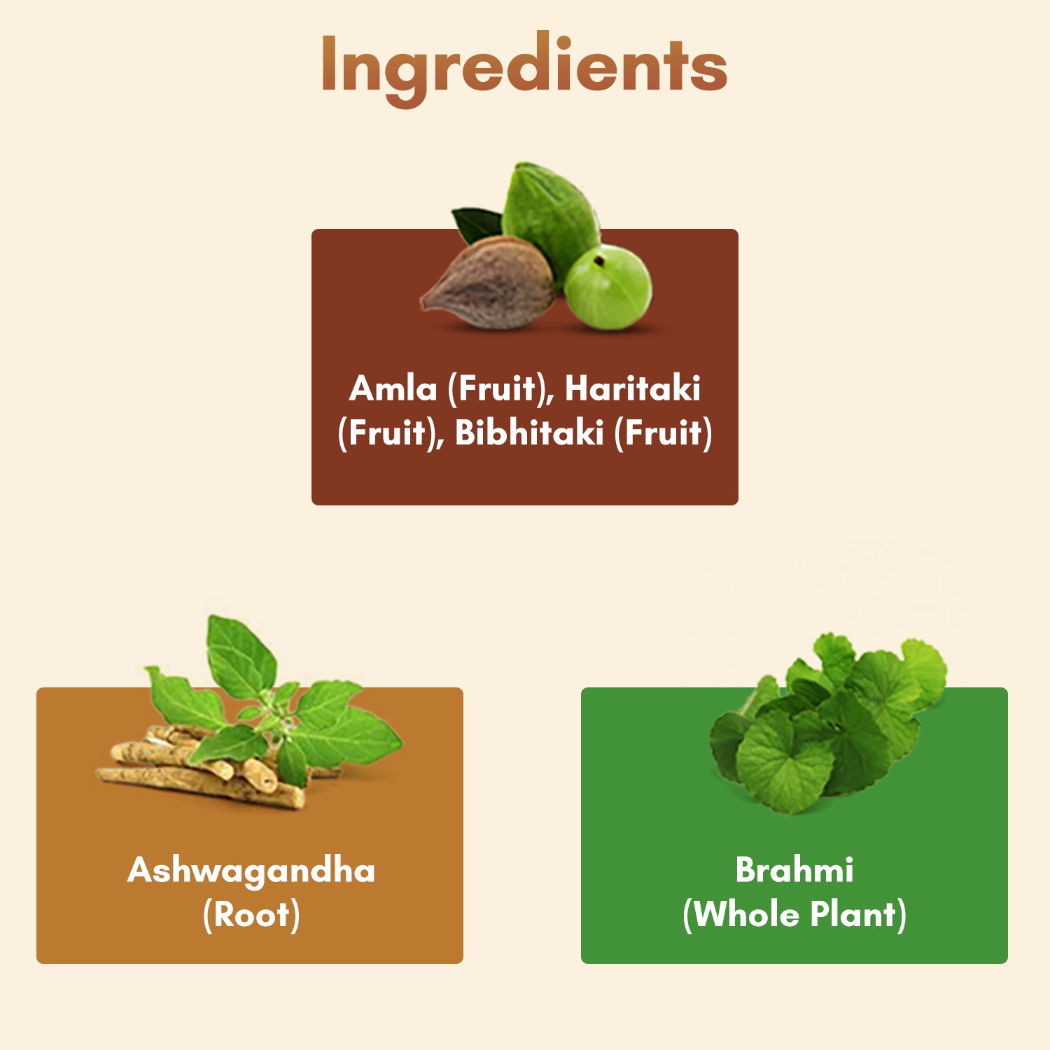 Vedacharya Ashwagandha, Triphala & Brahmi Capsules Combo