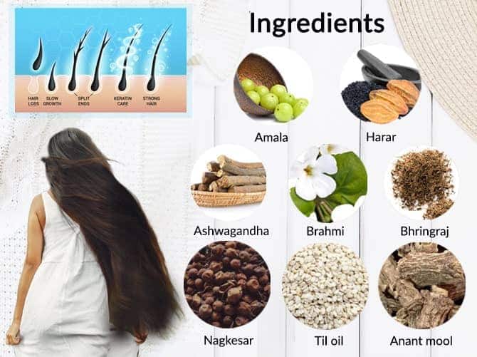 Buy Handmade Ayurvedic Centre Jatamansi Powder  Balchar Powder for hair  growth and Eating 400 Gr Online at Best Prices in India  JioMart